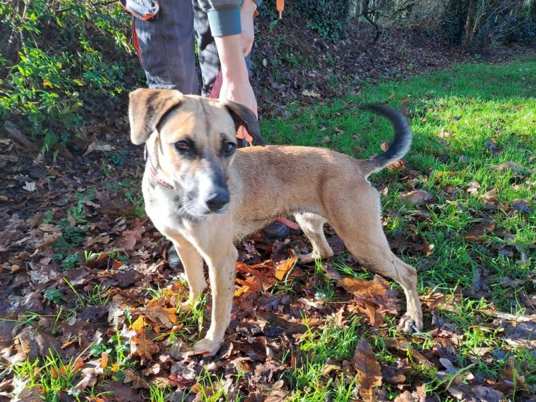 Photo #4 de Réservé naya