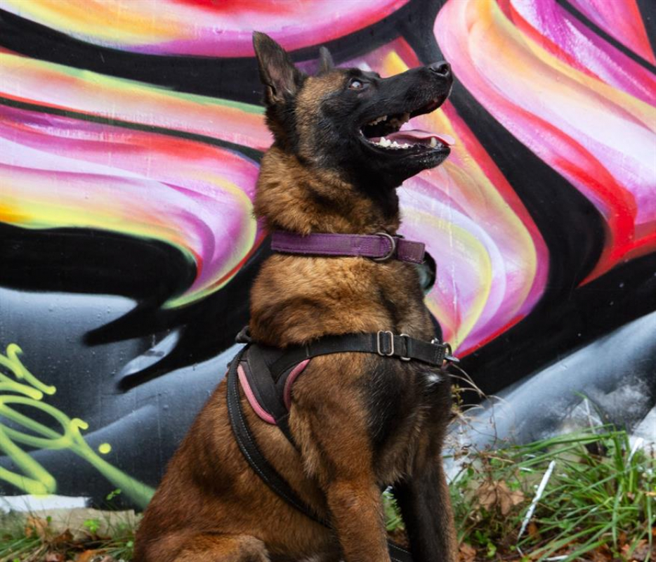 Photo #2 de Nopatchai