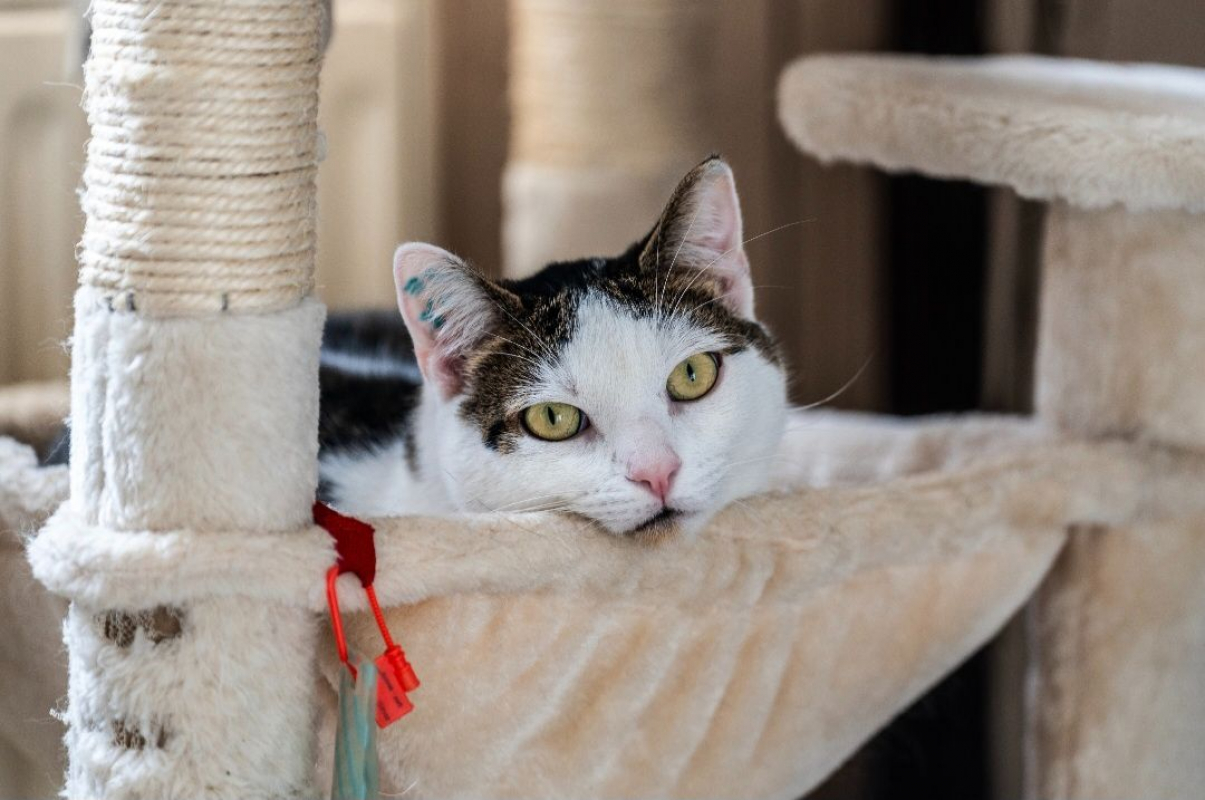 Photo #3 de Mia et Moka