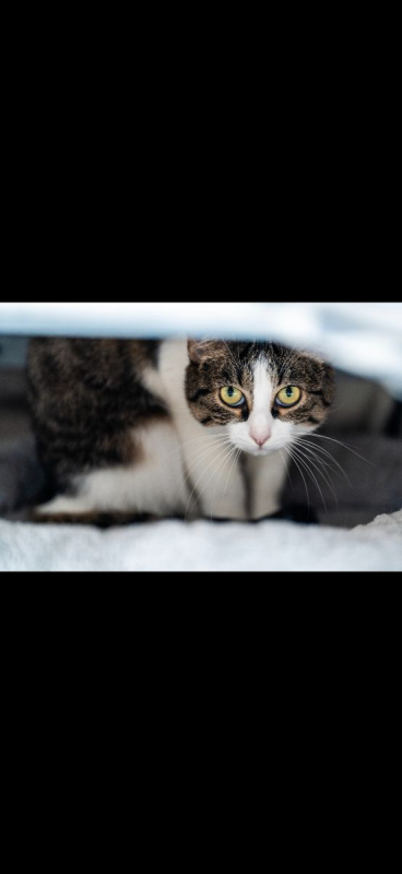 Photo #4 de Mia et Moka