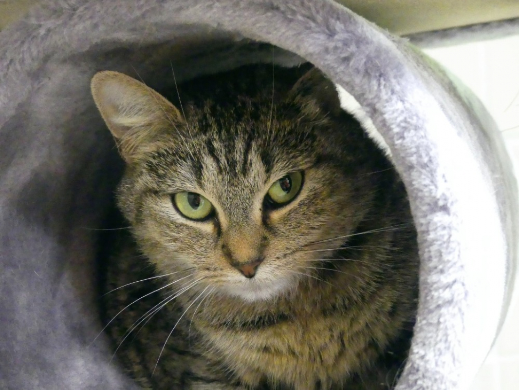 Photo #2 de Princesse