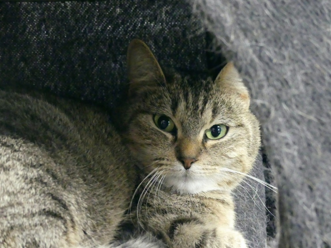 Photo #4 de Princesse