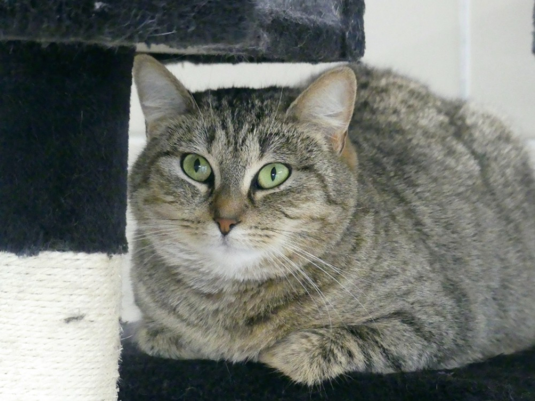 Photo #1 de Princesse