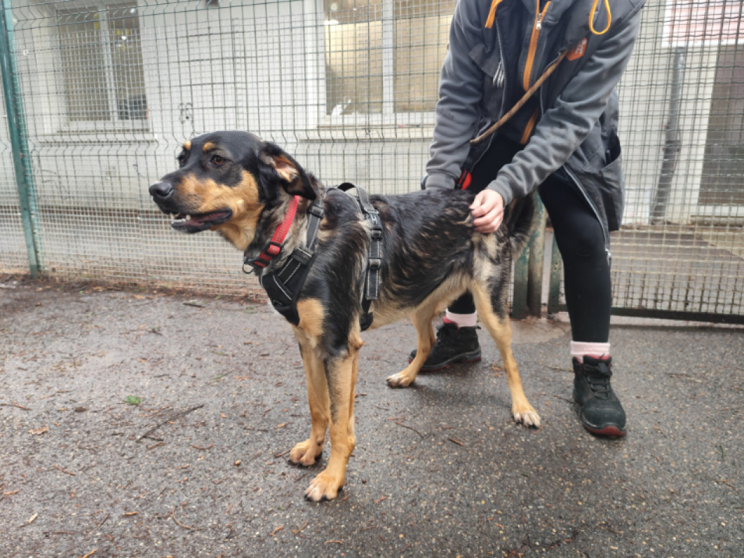 Photo de Poulette dit nahya