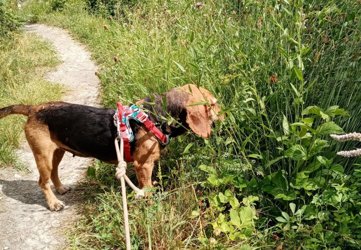 Photo #4 de Olga cnne