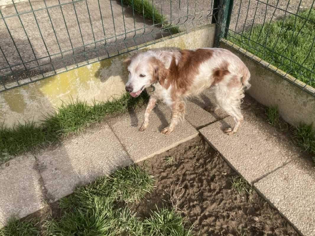 Photo #2 de Orphee réservé