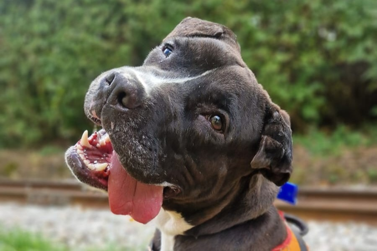 Photo #1 de Mcgregor