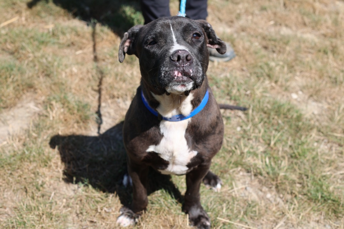 Photo #2 de Mcgregor