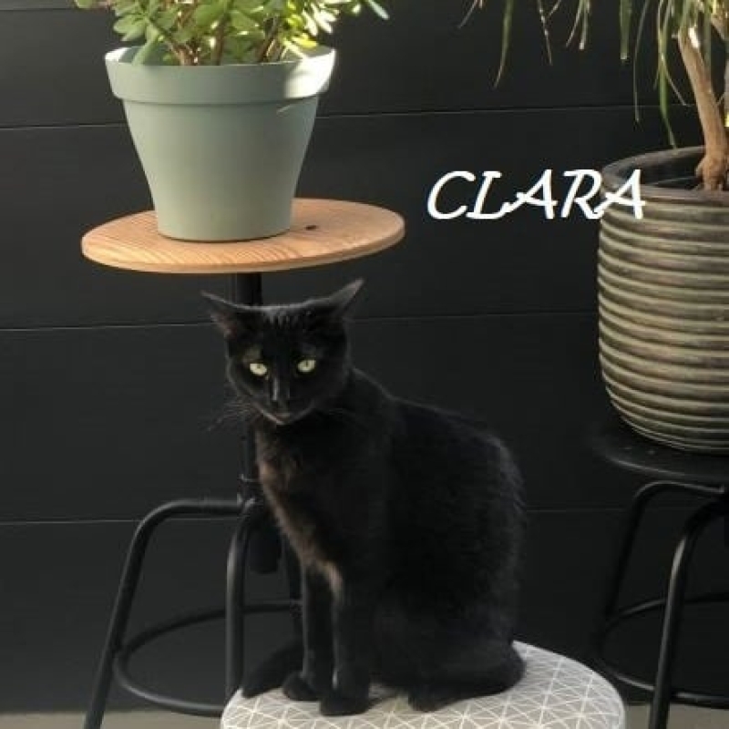 Photo de Clara