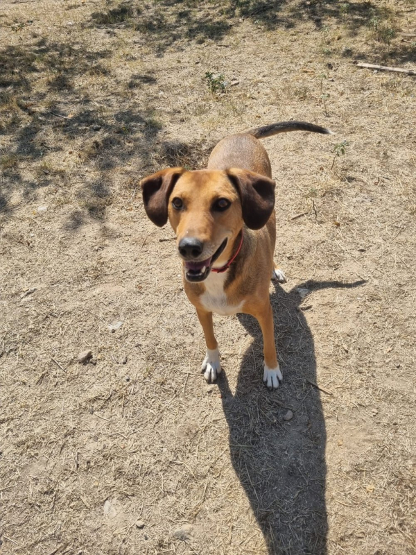 Photo #1 de Sandy