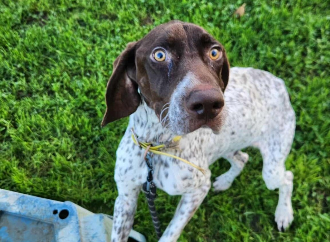 Photo #2 de Badaboum