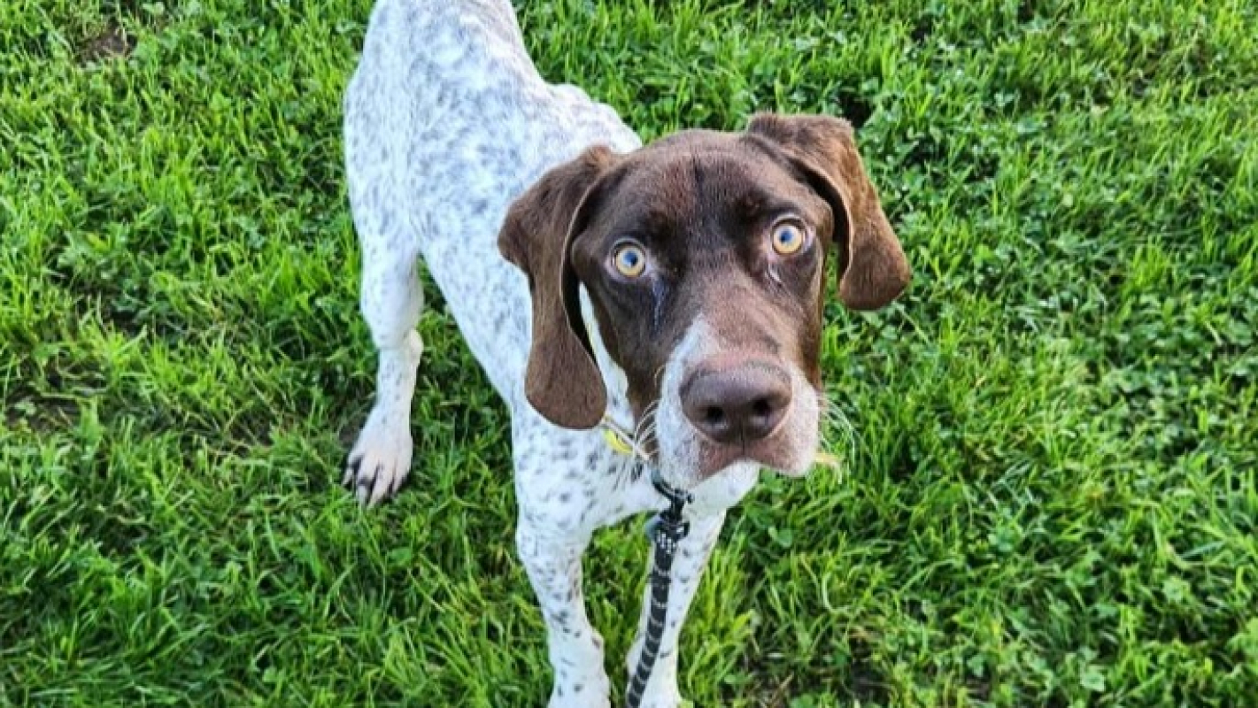 Photo #1 de Badaboum