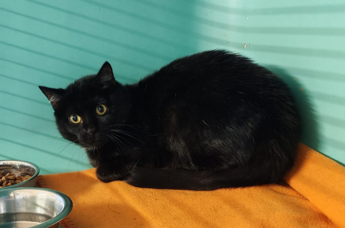 Photo de Princesse aya