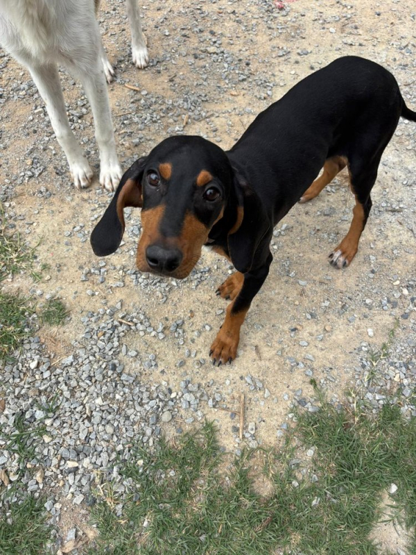 Photo #2 de Marley