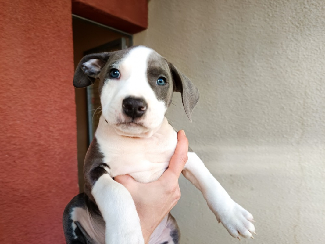 Photo de Bloody mary