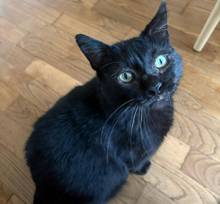 Photo #1 de Verlaine