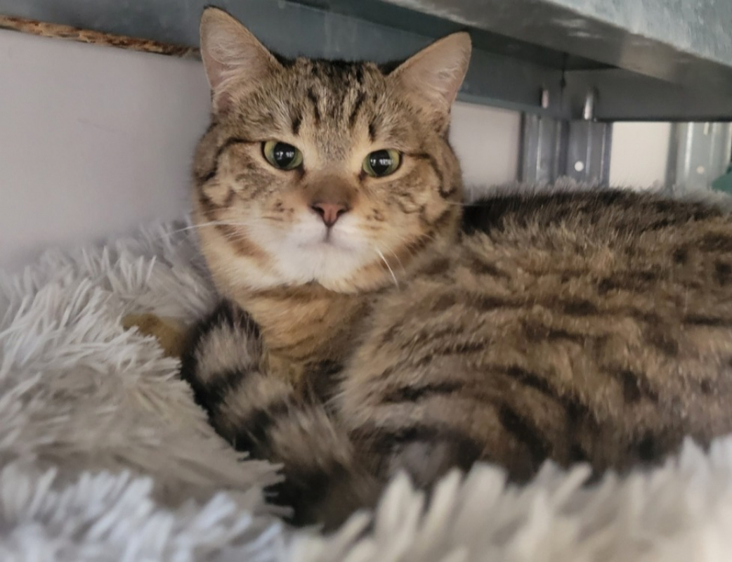 Photo #1 de Montigros