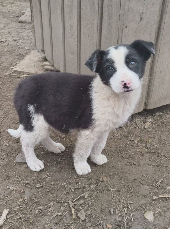 Photo #4 de Augustin