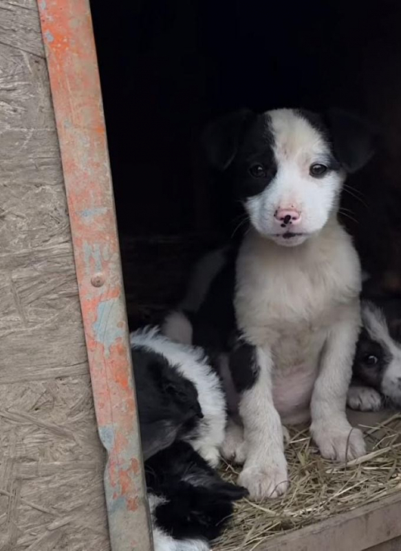 Photo #1 de Huguette