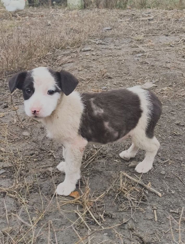 Photo #2 de Huguette