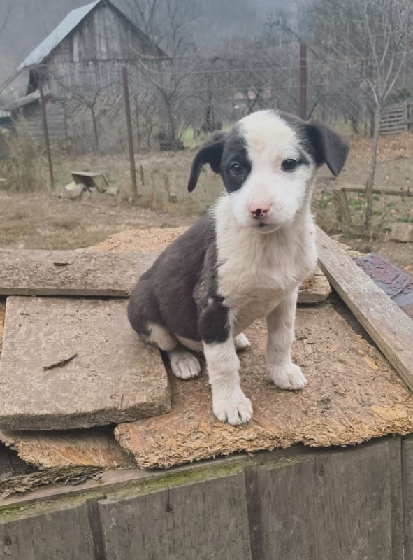 Photo #3 de Huguette