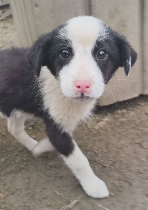 Photo #1 de Elisabeth