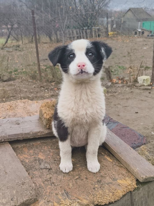 Photo #2 de Elisabeth