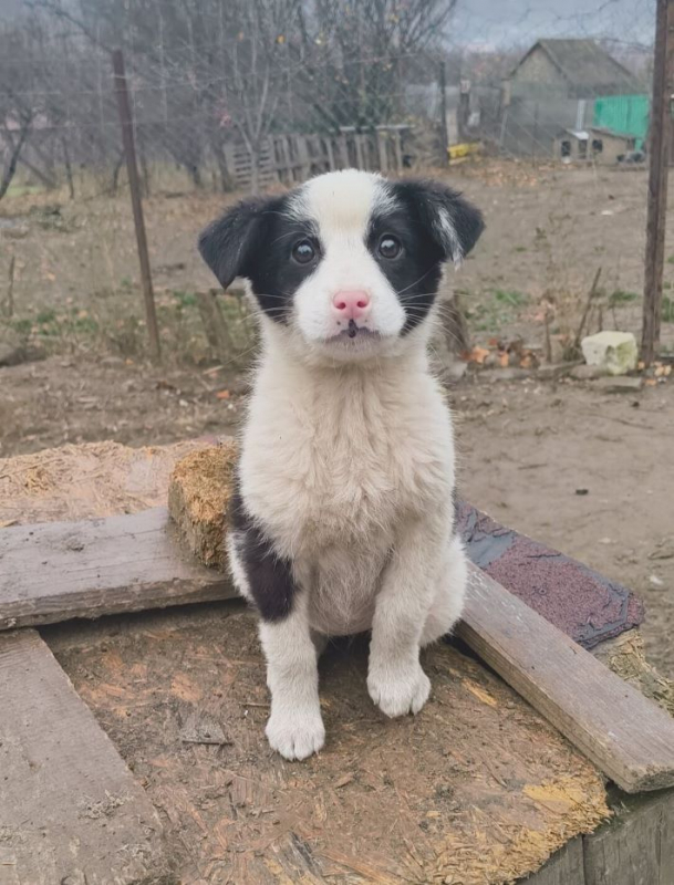 Photo #3 de Elisabeth