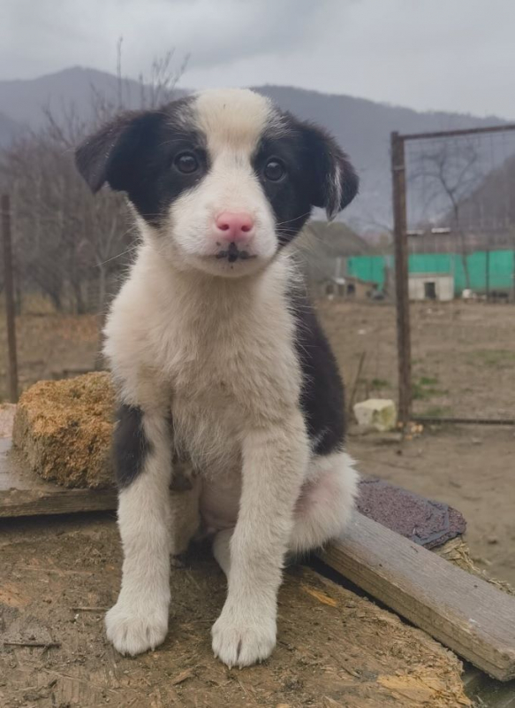 Photo #4 de Elisabeth