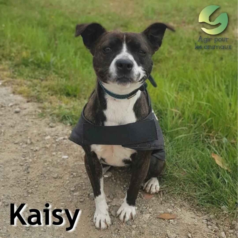 Photo de Kaisy