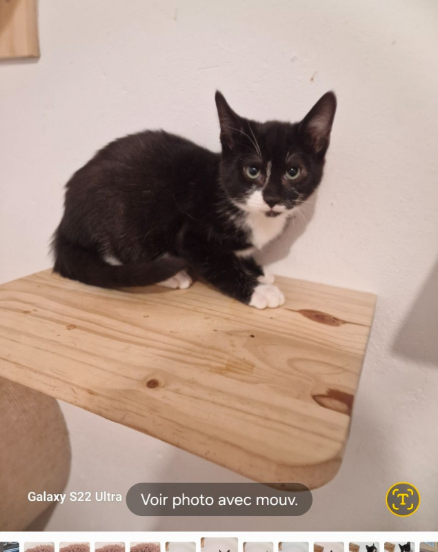 Photo #1 de Florentin