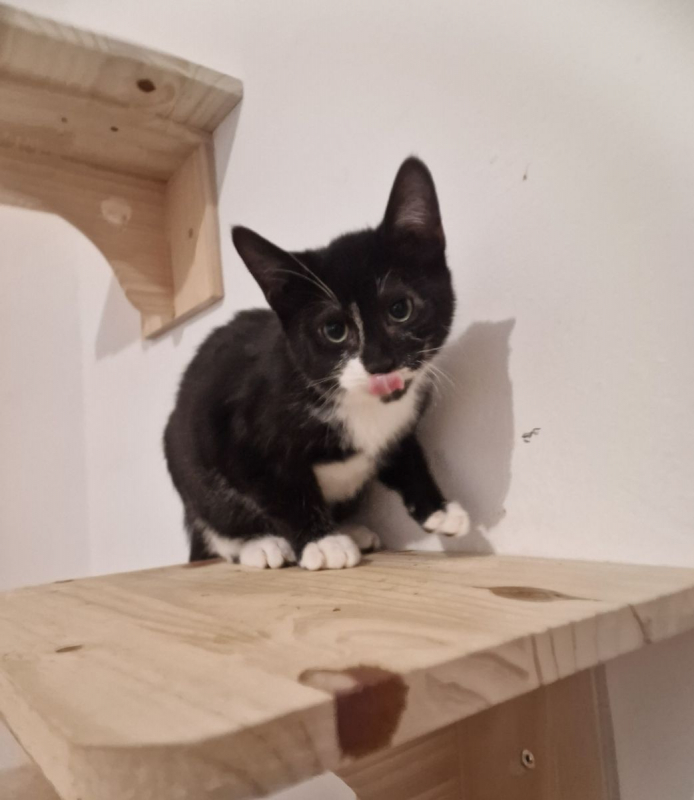 Photo #2 de Florentin