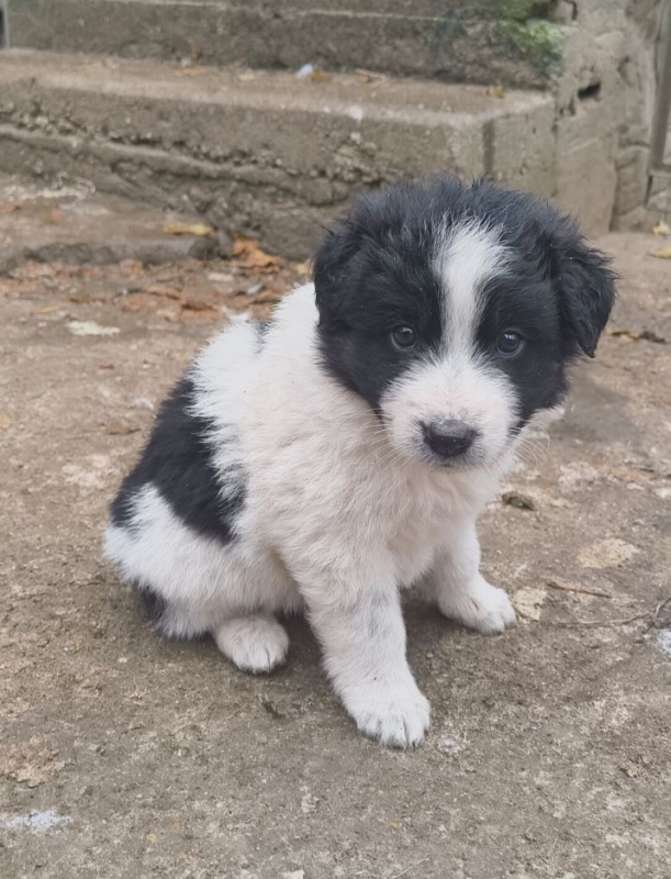 Photo #1 de Félicie