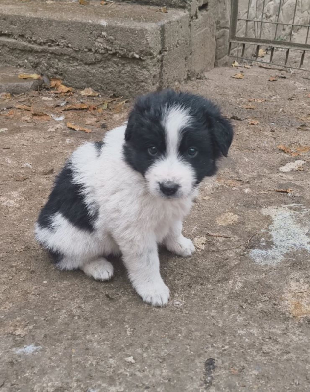 Photo #3 de Félicie