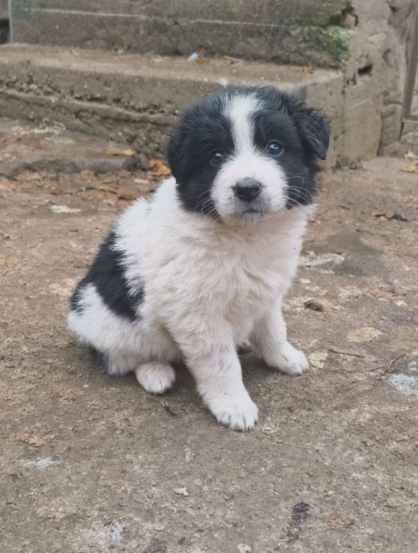 Photo #4 de Félicie