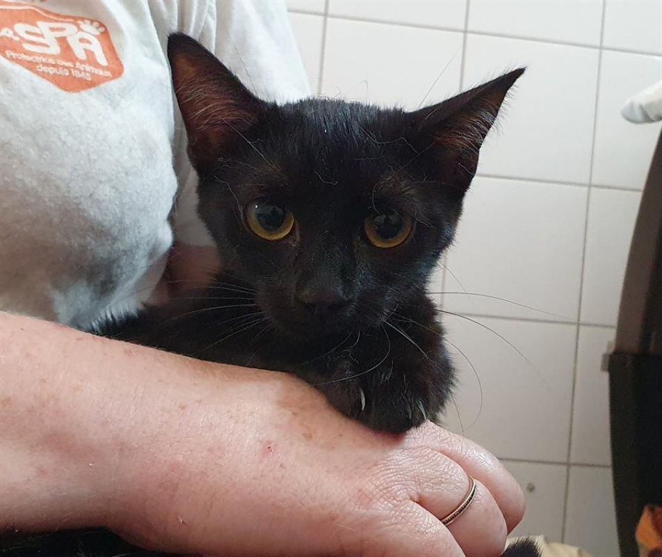 Photo de Gouttelette d