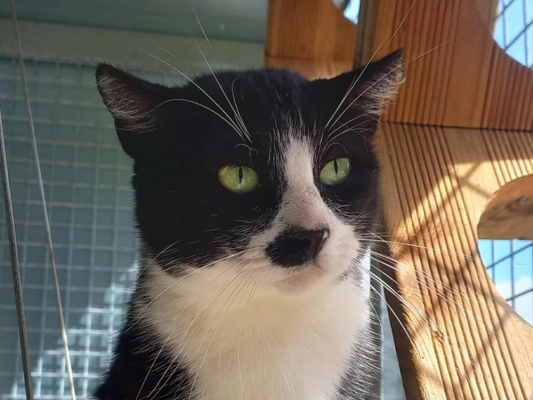 Photo #1 de Beetlejuice