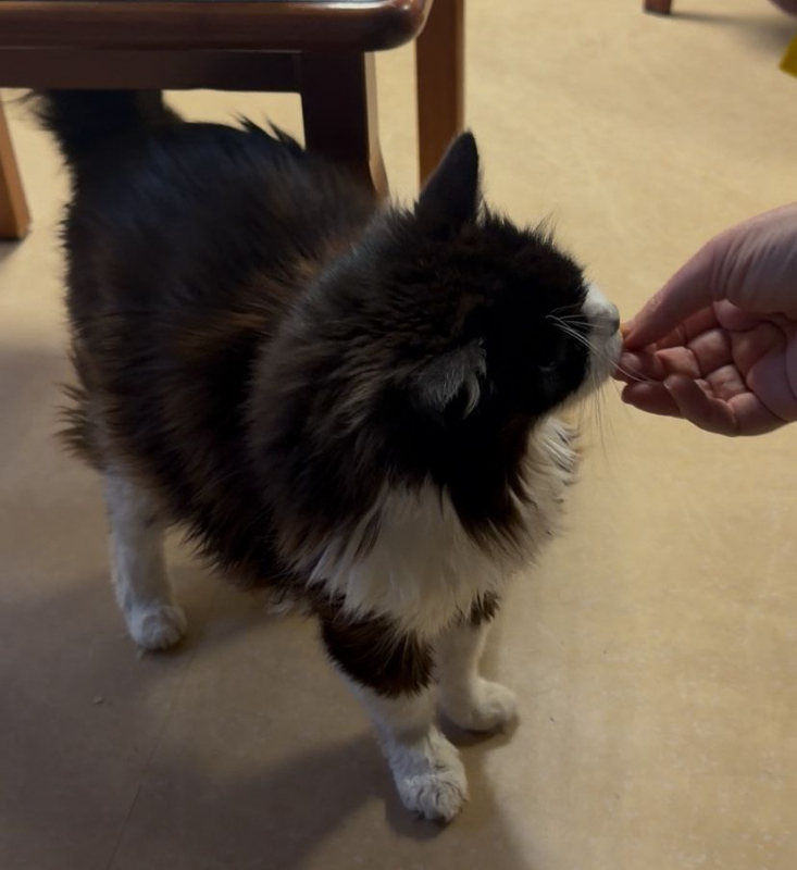 Photo #1 de Moustache le papy