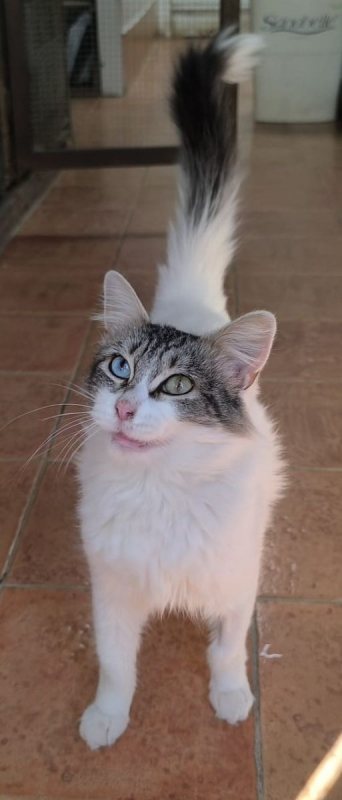 Photo #10 de Atlanta