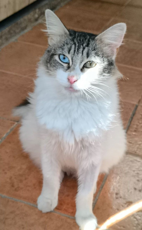 Photo #11 de Atlanta