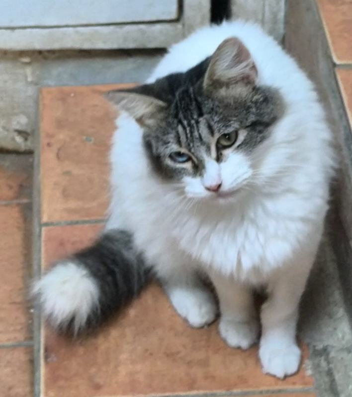 Photo #12 de Atlanta