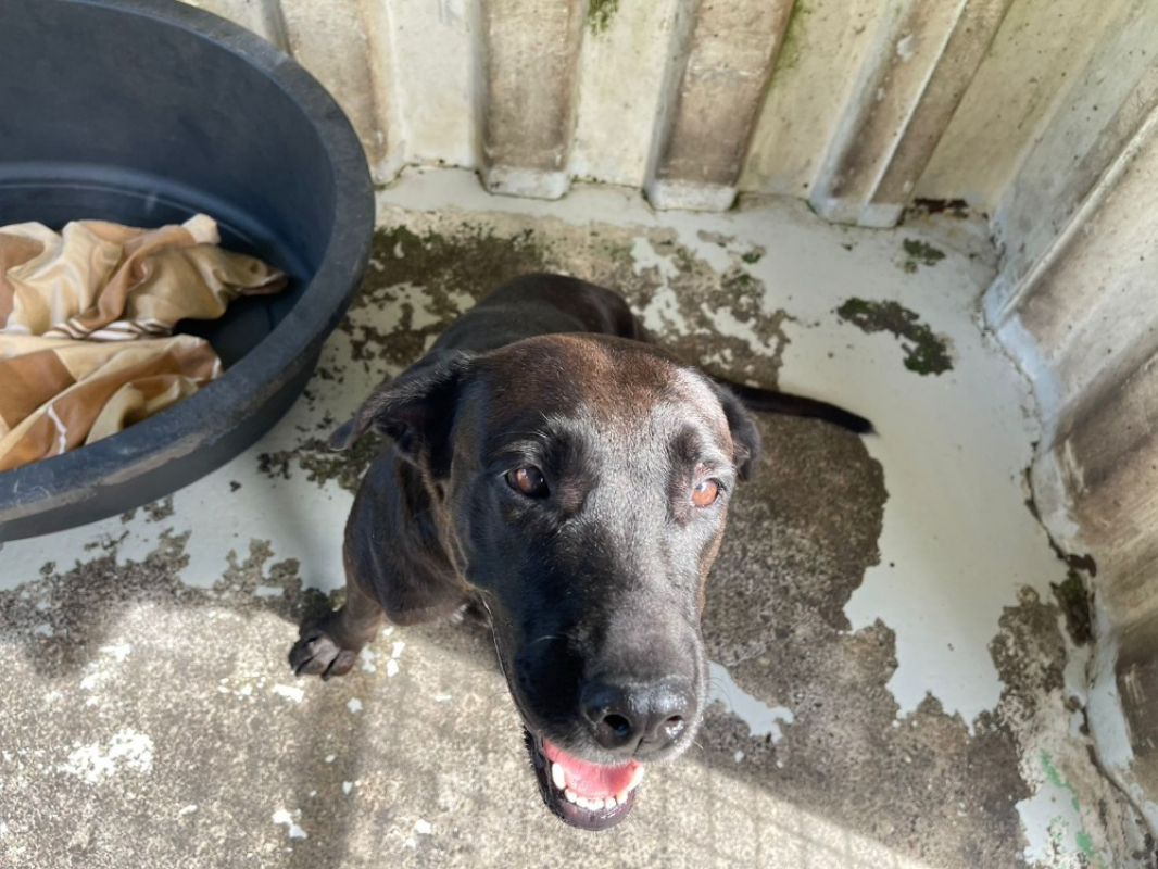 Photo #2 de Vendetta