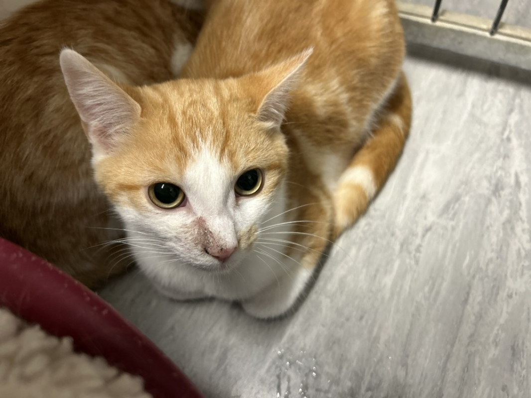 Photo #1 de Miercoles