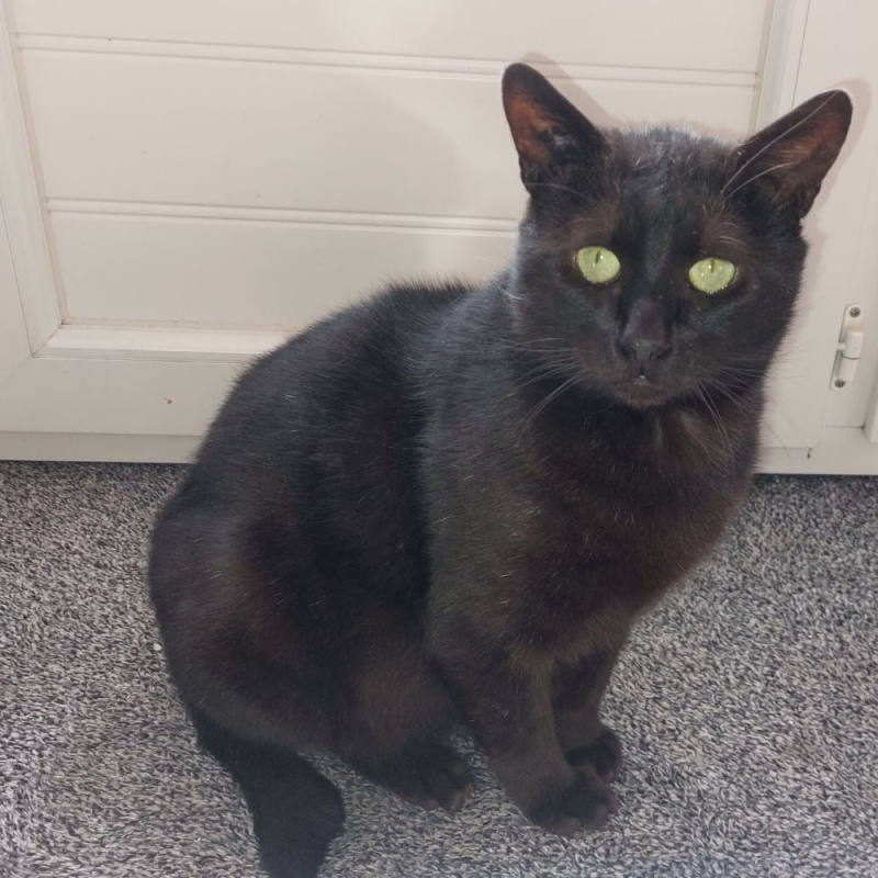Photo de Figaro