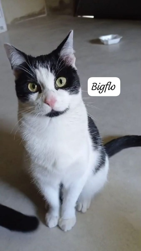 Photo #2 de BigFlo