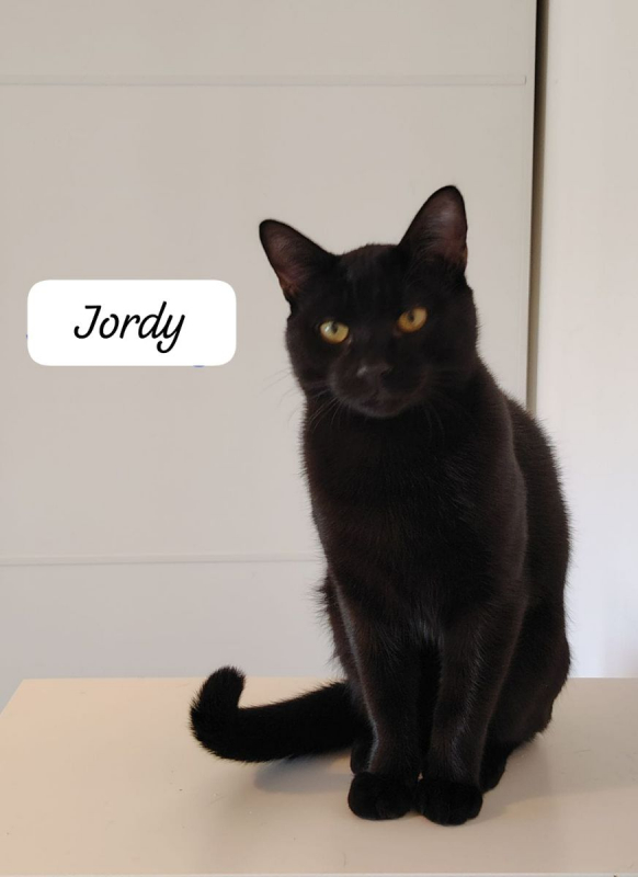 Photo de Jordy