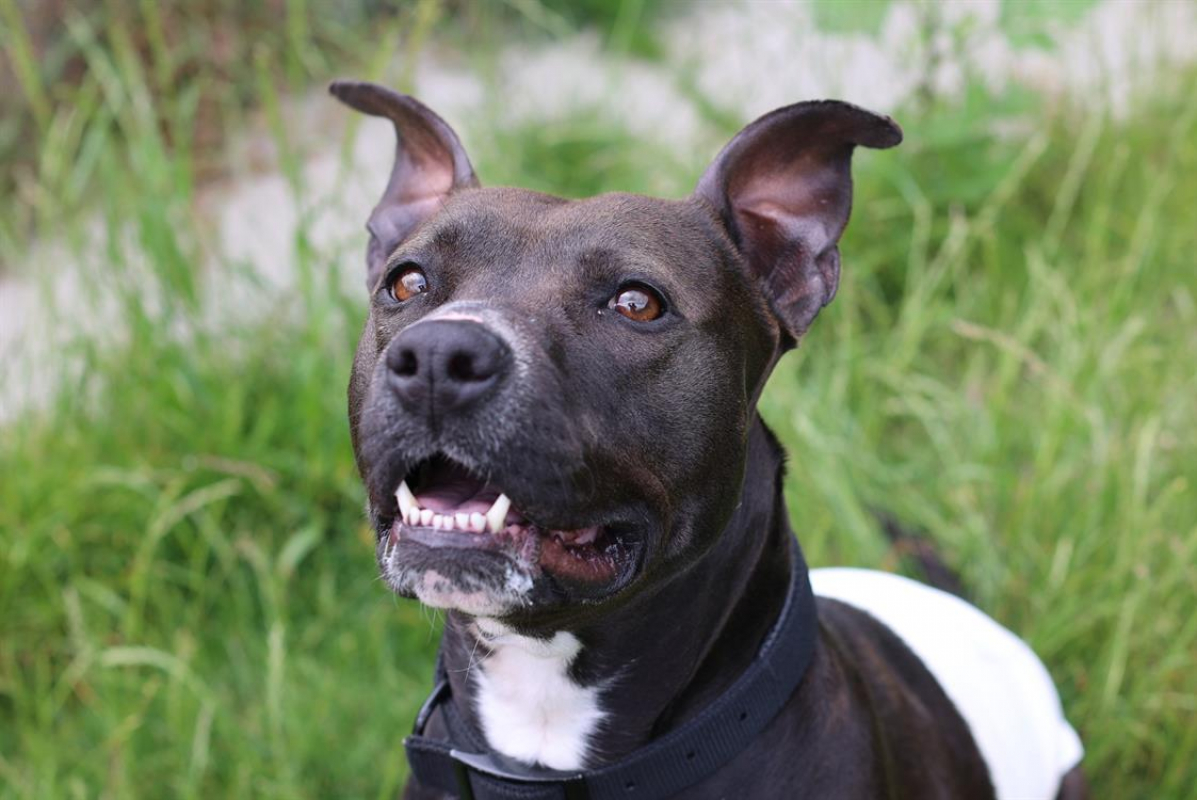 Photo #1 de Brooklyn