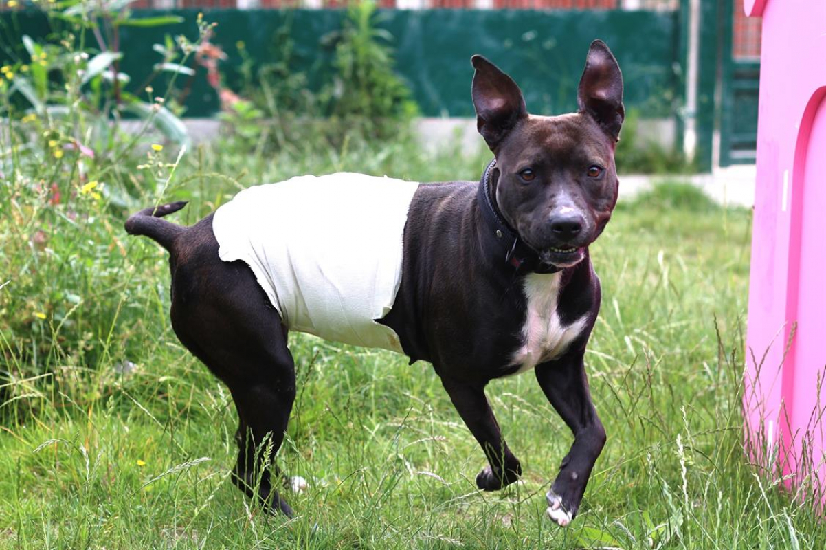 Photo #2 de Brooklyn