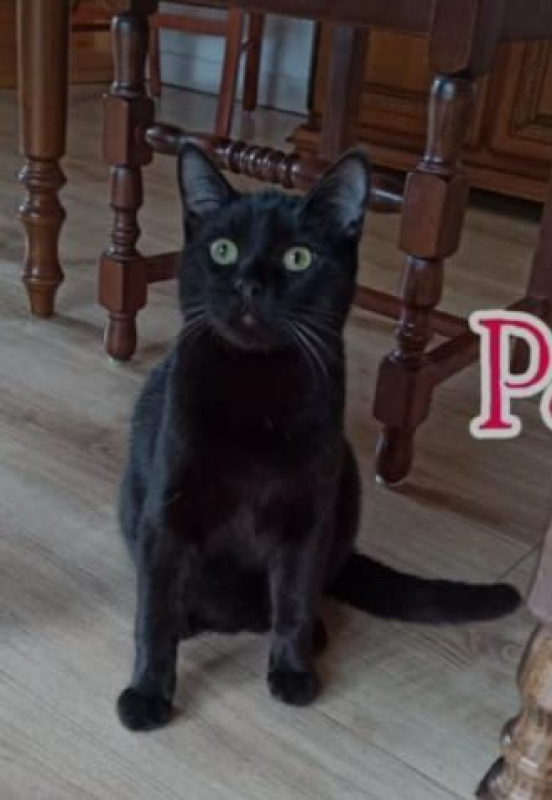 Photo de Pepito