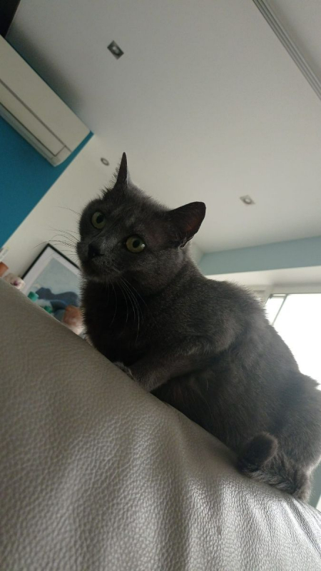 Photo de Xira